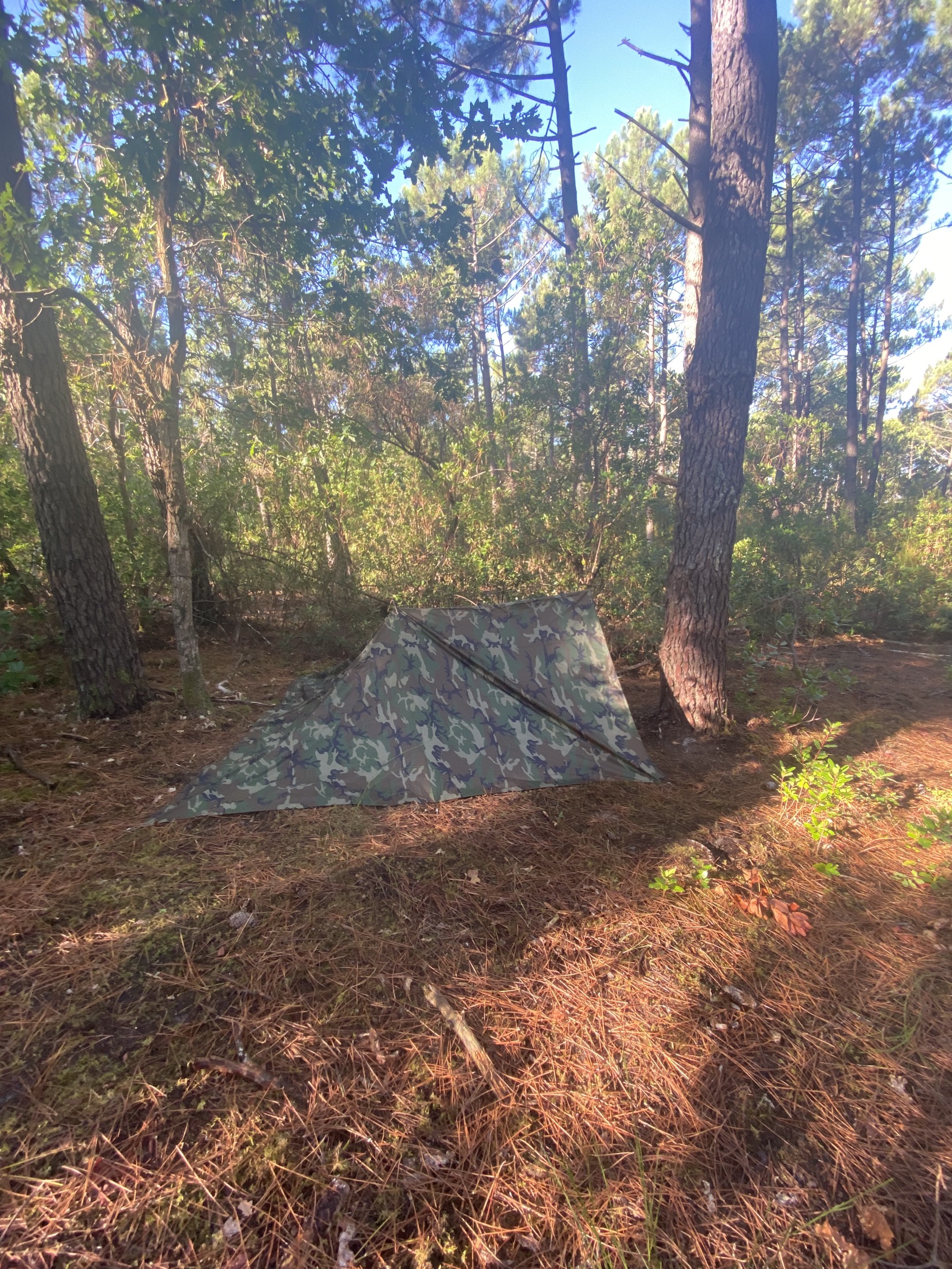 Another tarp shelter