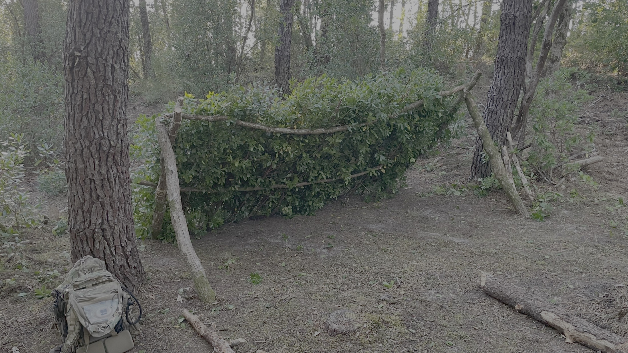 Small branch shelter