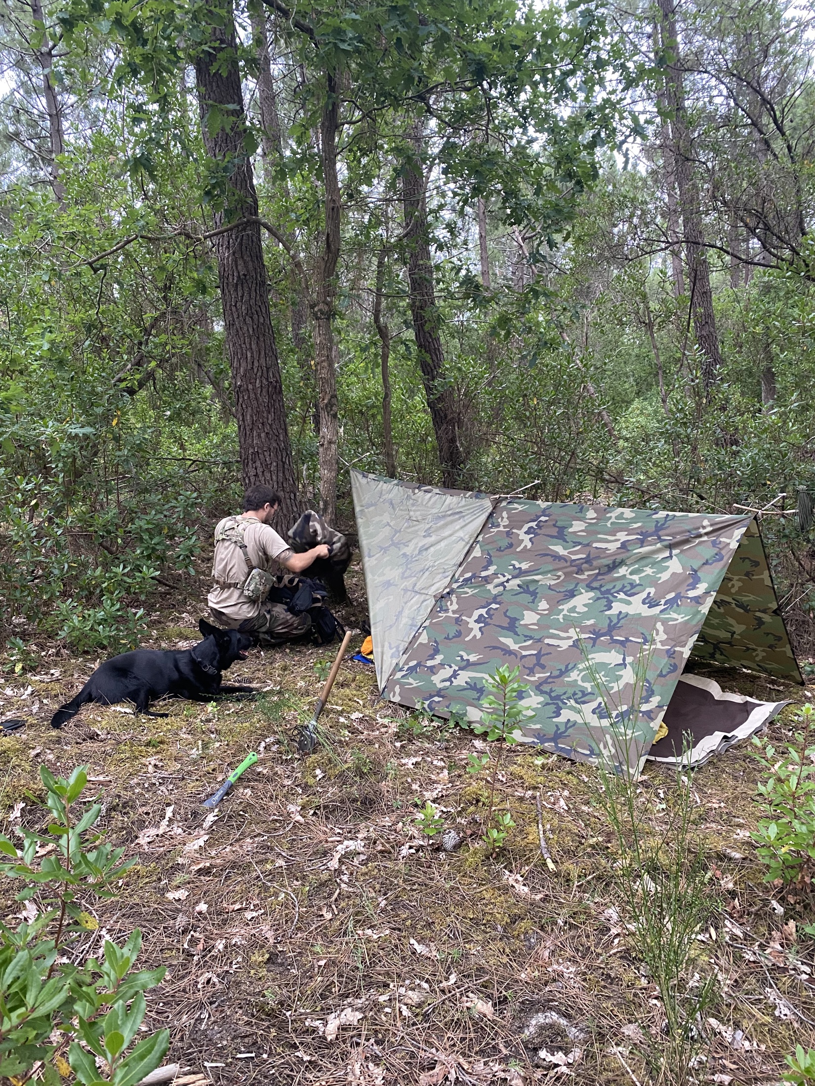 Tarp shelter
